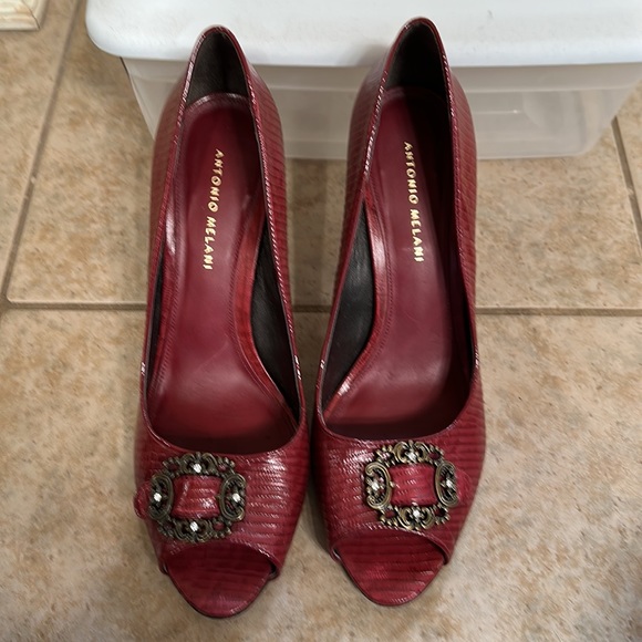 Antonio Melani burgundy pumps - Picture 2 of 4